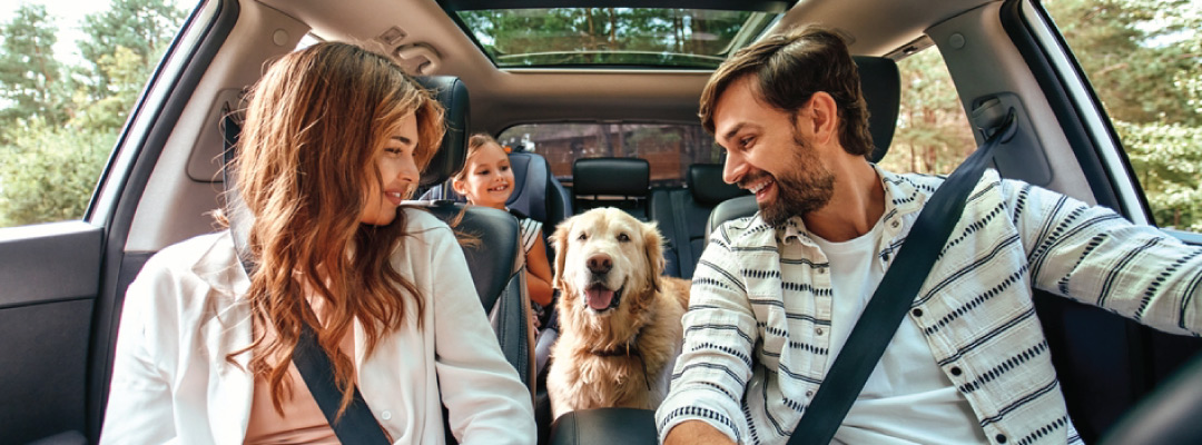 Happy family and dog driving in a car. 