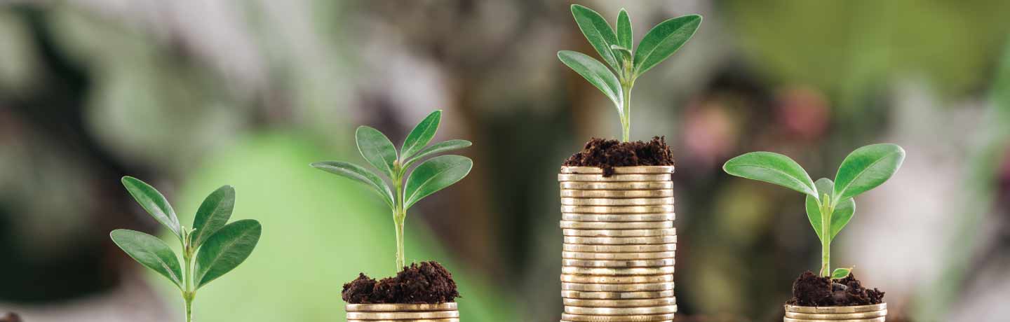 Coin stacks with plants